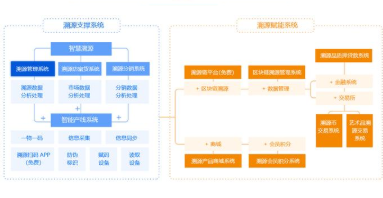 溯源营销管理系统软件设计开发,提升企业营销效率!